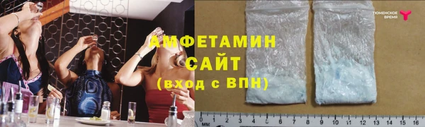 PSILOCYBIN Переславль-Залесский