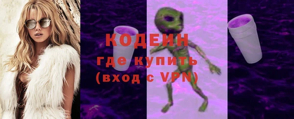 сатива Пересвет