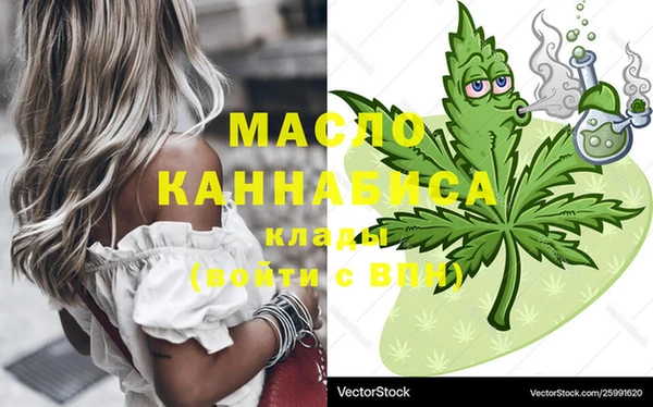 молекула духа Кемь