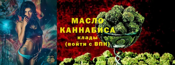 гидра Пестово