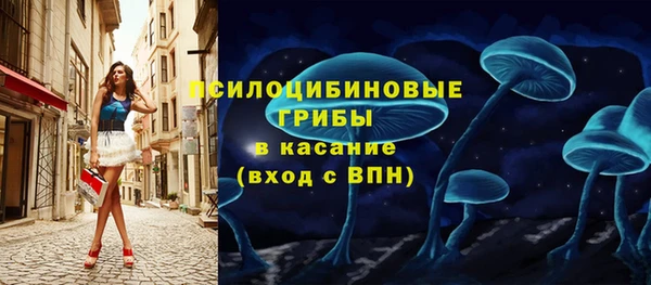 PSILOCYBIN Переславль-Залесский