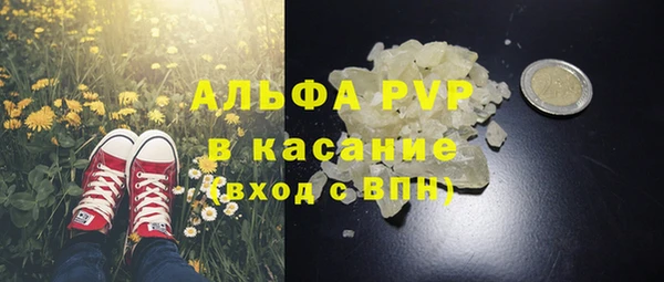 сатива Пересвет