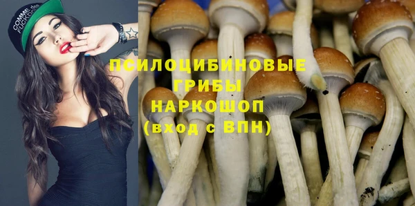 сатива Пересвет