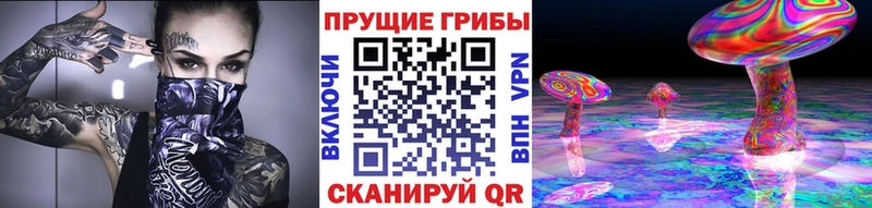 Галлюциногенные грибы ЛСД  Рыбное 